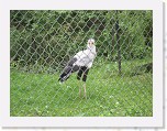 Dierentuin Burgers  Zoo 114 * 3648 x 2736 * (6.88MB)
